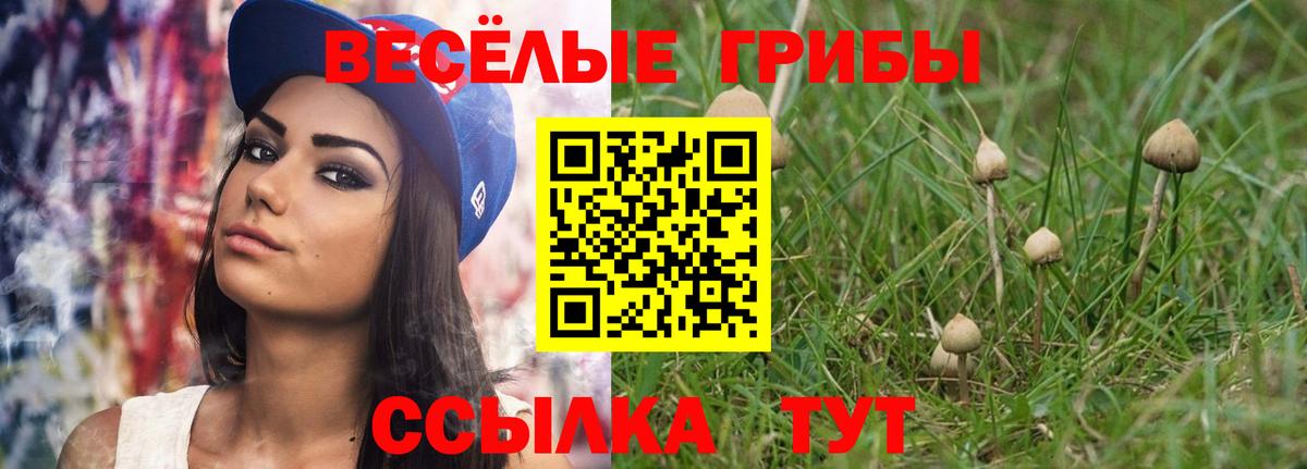 Галлюциногенные грибы MAGIC MUSHROOMS  Псилоцибиновые грибы мухоморы  Вход с VPN  Ликино-Дулёво 